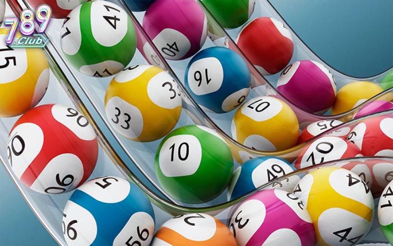 Kinh nghiệm nuôi bạch thủ lô khung 3 ngày hiệu quả