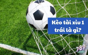 Tài Xỉu 1 Trái