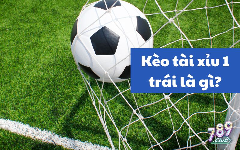 Tài Xỉu 1 Trái